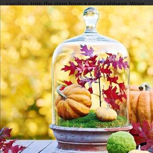 Meet your Posher, Gina